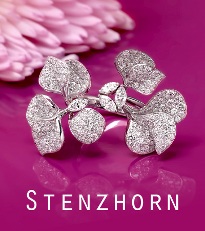 Stenzhorn